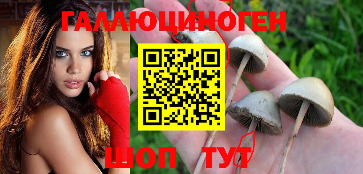 Псилоцибиновые грибы MAGIC MUSHROOMS  Галлюциногенные грибы Magic Shrooms  Жигулёвск  Вход с VPN 
